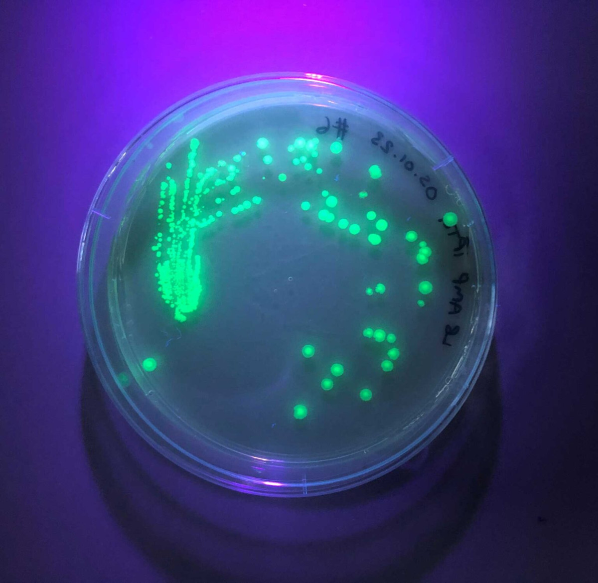 PTFA supports GENE Biology Tech